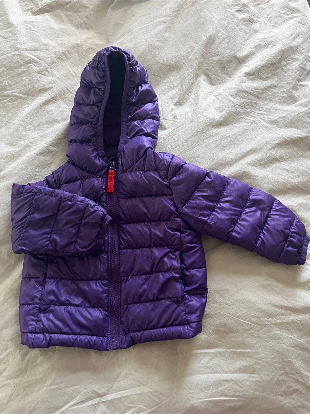 Primary Purple Hooded Puffer Jacket with Red Zip Pull
